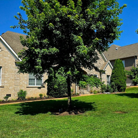 Meet your Posher, Mike - Picture 4 of 9